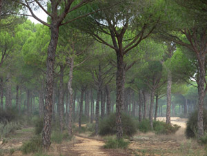 Vistas de la ruta